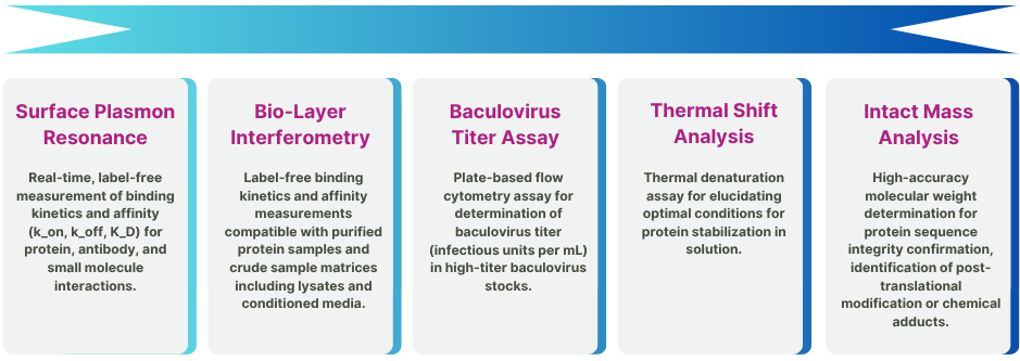 Assay Services - Edit Colorful infographic describing Proteos assay services that include baculovirus titer assay, thermal shift assay (TSA), intact mass measurement, colorimetric and fluorometric assays, surface plasmon resonance (SPR), and bio-layer interferometry (BLI).