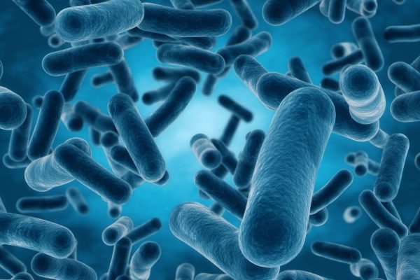 Proteos - Prokaryotic Fusion Proteins