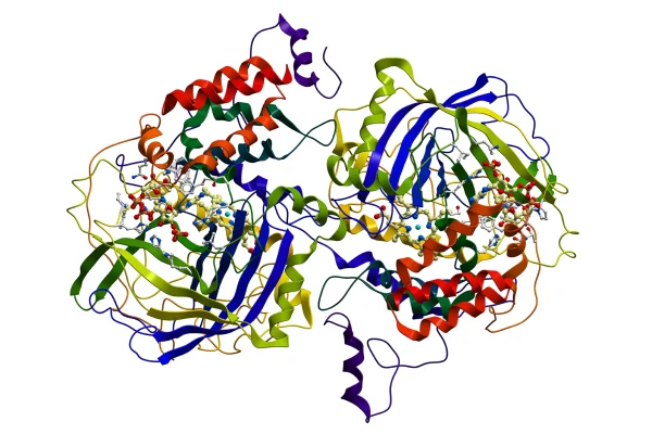 Graphic of multi-colored protein structure | proteos | protein production CRO