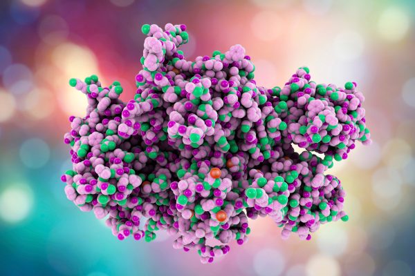 Proteos FVIII custom recombinant protein expression and purification.