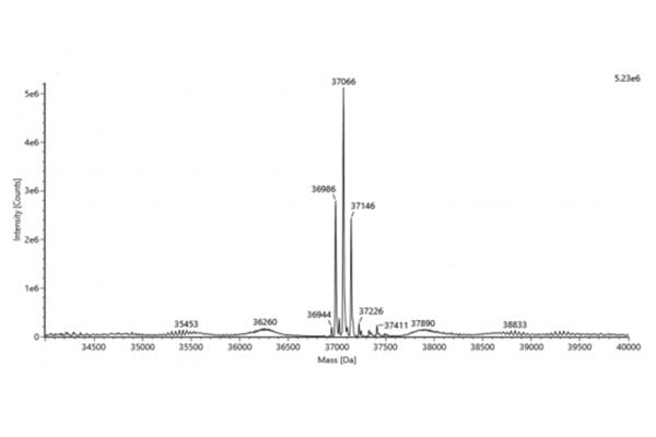 Intact Mass Analysis Now Available Intact Mass Analysis Now Available