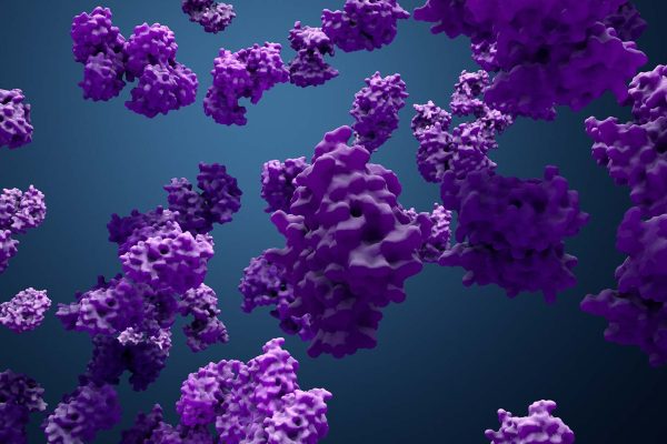 3D image of multiple purple protein constructs on dark blue background