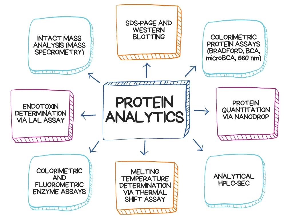 Protein Analytics