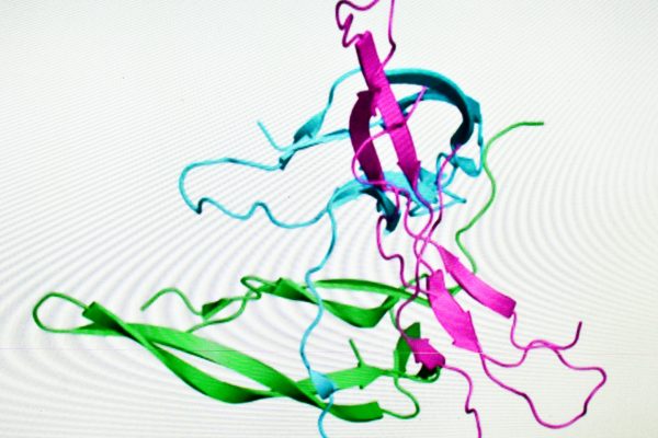 Proteos recombinant protein production