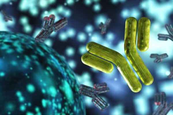 Recombinant Antibody Production_ The Argument Against Hybridomas