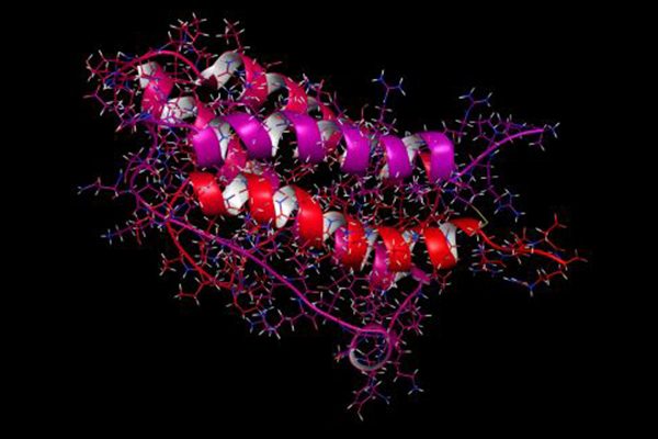 Selecting a Eukaryotic Signal Sequence