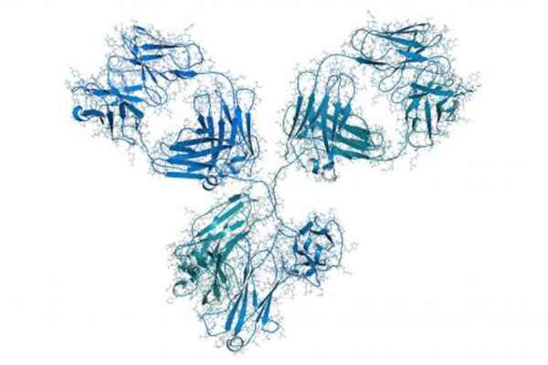 The Argument for Recombinant Antibody Production