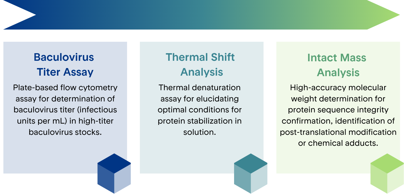 Assay Services Infographic - 2025 Colorful infographic depicting customized protein assay services, baculovirus titer assay, thermal shift analysis (TSA), insect mass analysis services from Proteos | US-based recombinant protein production CRO